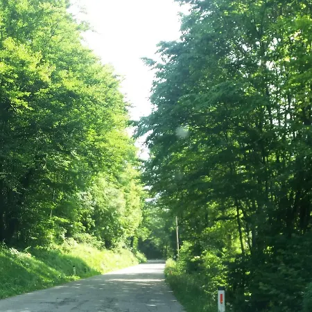 Vrata Pri Cepovanu