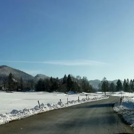 Vrata Pri Cepovanu Dom wakacyjny *