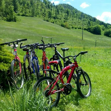 Сasa de vacaciones Vrata Pri Cepovanu