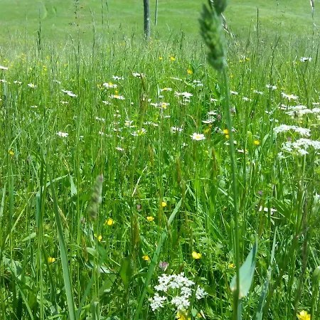 Vrata Pri Cepovanu Cepovan