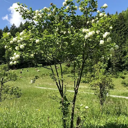 Сasa de vacaciones Vrata Pri Cepovanu Cepovan